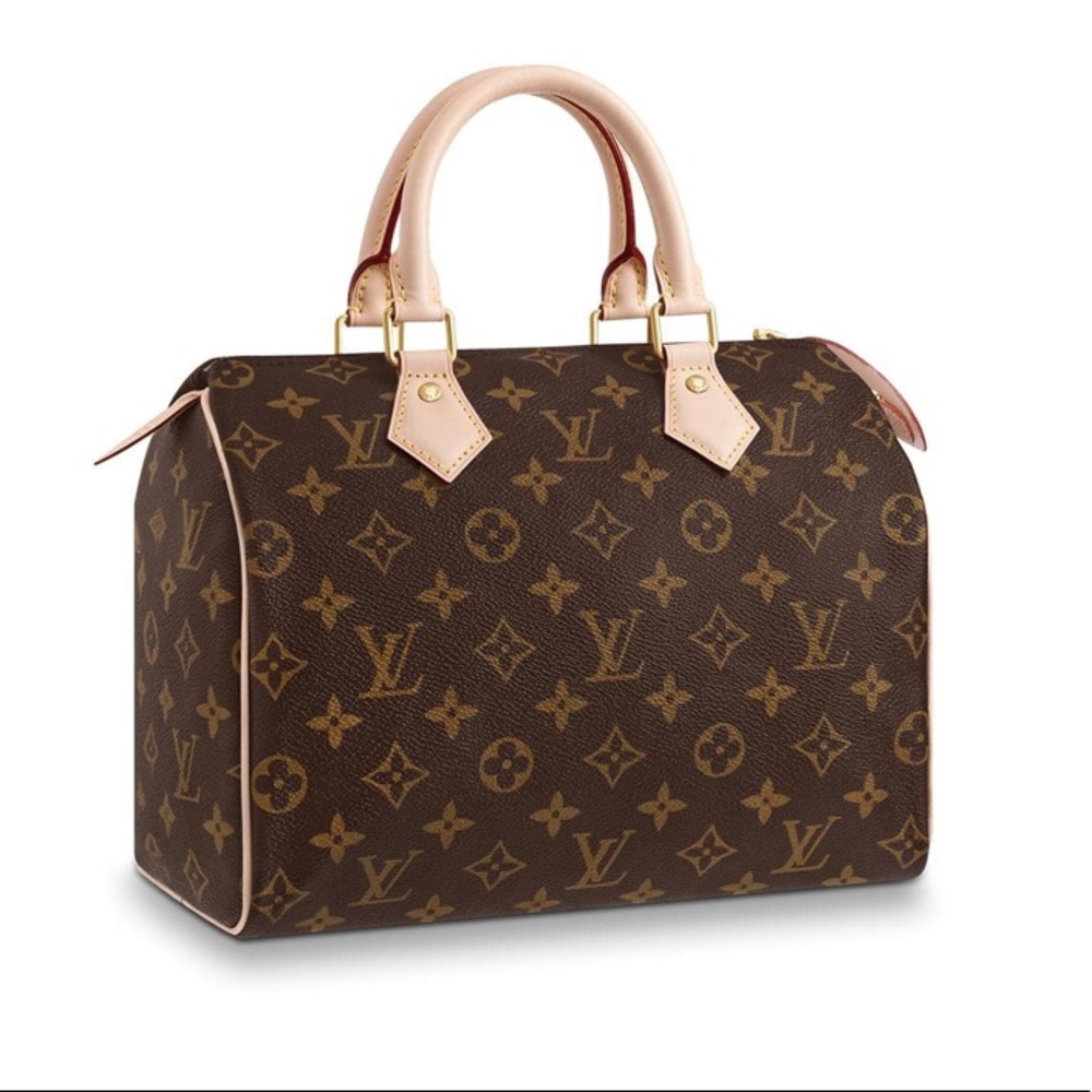 Speedy 25 Louis Vuitton monogram